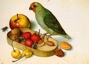 Nuts, Seeds, Fruit and a Bird