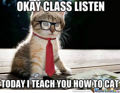 teacher-cat_o_1797417.jpg